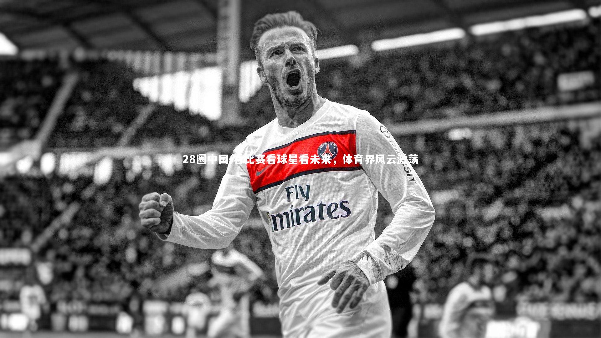 28圈中国-看比赛看球星看未来，体育界风云激荡