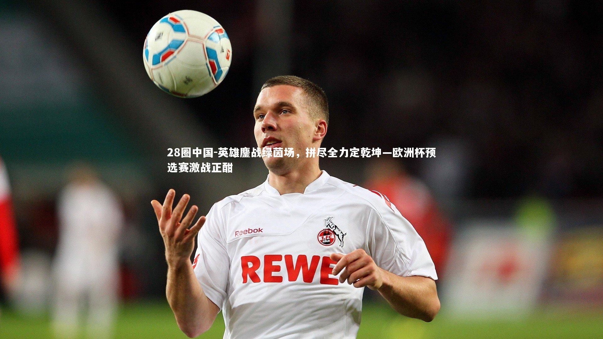 28圈中国-英雄鏖战绿茵场，拼尽全力定乾坤—欧洲杯预选赛激战正酣